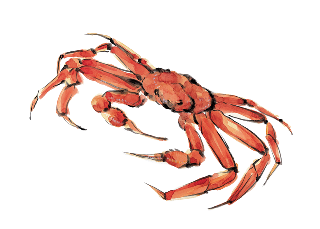 신대구영덕대게타운 메뉴